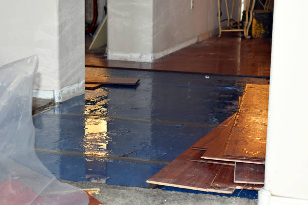 Professional Water Damage Repair technician working in Helena, OH